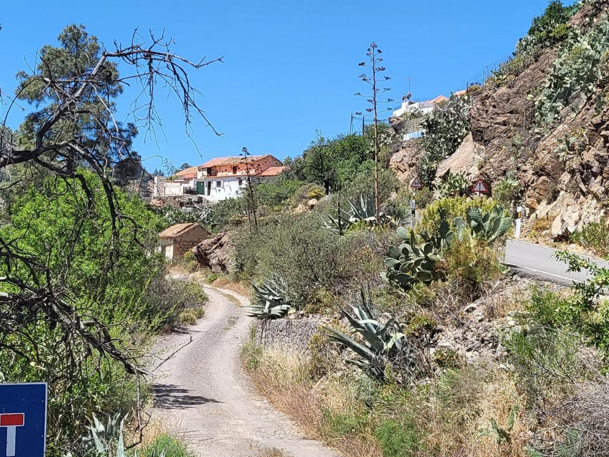 Casa Rural Los Pinares El Juncal De Tejeda Exterior foto